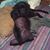 Kathryn Linthicum Schulz's profile image