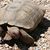 Harris Environmental Group, Inc.'s profile image