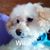 Susan Jeffers's profile image