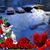 Tamera Dunnclark's profile image