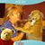 Anne M. McCarthy's profile image
