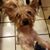 Daphne Andert's profile image