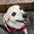 Valerie Clarke's profile image