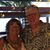 Vicky Roberg Nelson's profile image