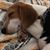Sherry Reeves Rosen's profile image