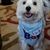 Tom Neckel's profile image