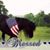 Kelley Primm's profile image