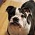 Jamie Boyd's profile image