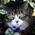 Jenny Smith's profile image