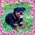Ellen Farrin's profile image