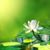 Alinda Tian's profile image