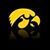 Nathan Skuster's profile image