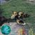 Pamela J Dillard's profile image