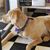 Melanie Kolb Goulet's profile image