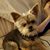 Trena Fournier Garrison's profile image