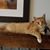 Darlene Campbell's profile image