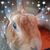 Sandy Pagan's profile image