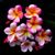 Fran Beck's profile image