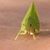 Benjamin Beyer's profile image