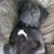 Merla Mersereau's profile image