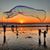Catherine Bowers-Anaya's profile image