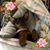 Tina Litten's profile image