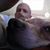 Jason Auxier's profile image