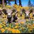 Aliza R Caves's profile image