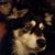 Cindy Butler's profile image