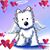 Marcus Scherler Lowe's profile image