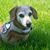 Victoria James's profile image