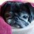 Vicki Morgan Stevenson's profile image