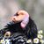Jamye Weseloh's profile image