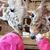 Buffy Miller Chittenden's profile image