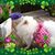 Heather Hawke's profile image