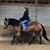 Judy Oakerson's profile image