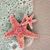 Marjie Crosier's profile image