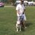 Tony Hause's profile image