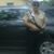Brandon Asael Cantillo's profile image