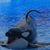 Candy Hodge's profile image