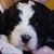 Kristi Cartee's profile image