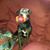 Brian Beauvais's profile image