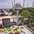 Samar Gaber's profile image