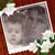 Bernice Franchetti's profile image