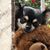 Patty Maples's profile image