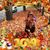 Patti Griffing's profile image