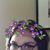 Emily Graham's profile image