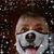 Adrienne Parks-Ristick's profile image
