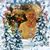Taru Pulkkinen's profile image