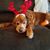 Teri Palisano Reynolds's profile image